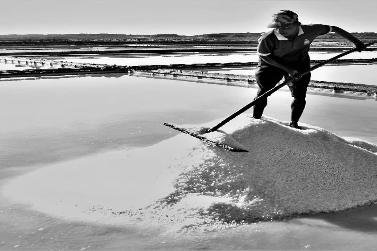 Shore Excursions Sri Lanka 1